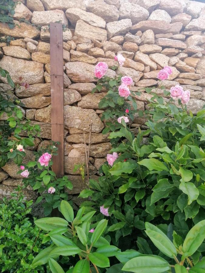 Rosas Da Granja - Casa De Campo Zewnętrze zdjęcie