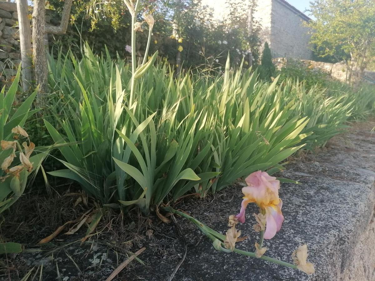 Rosas Da Granja - Casa De Campo Zewnętrze zdjęcie