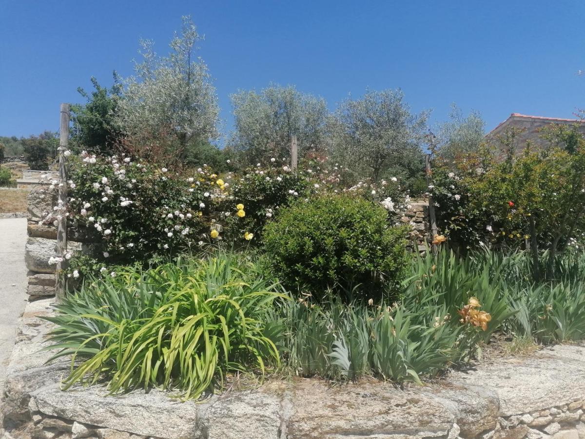 Rosas Da Granja - Casa De Campo Zewnętrze zdjęcie