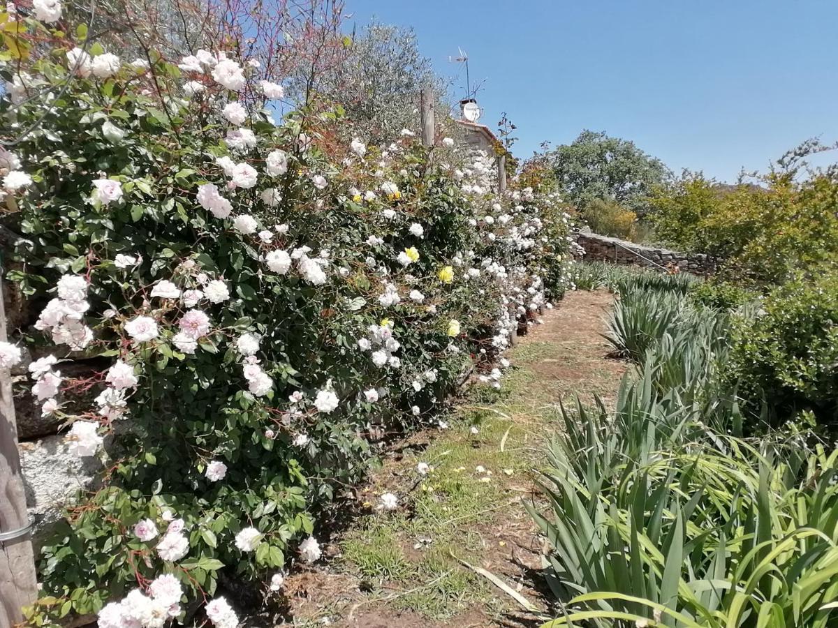 Rosas Da Granja - Casa De Campo Zewnętrze zdjęcie